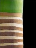5th <p align=center><b>6th Layers</b><br><font size=1> bezucho</font></p>