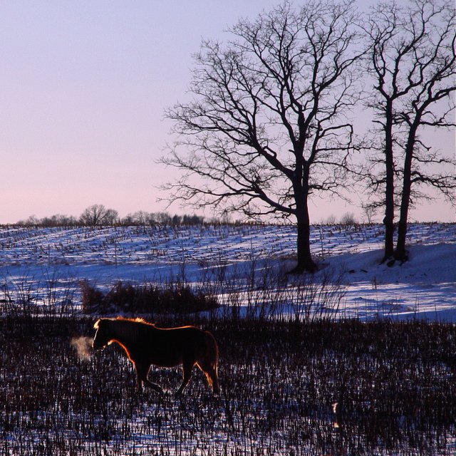 <b>Cold & Alone</b> <br><font size=1> by Shutter</font>