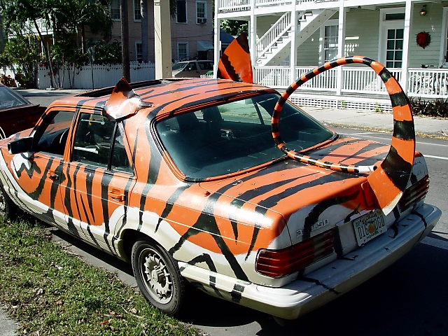 <B>Tiger in your Tank<BR>Key West, FL<BR><FONT SIZE=1>by Loren Charif</FONT><BR></B>