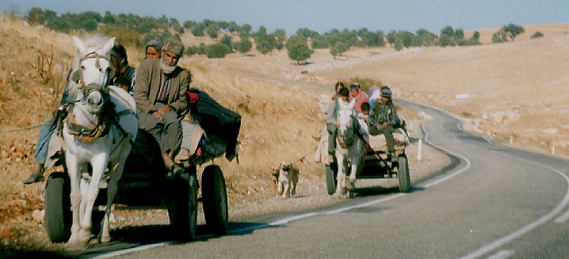 <p align=center> <b> Kurdish Families on the Move </b> <br> <font size=1> by Helen Betts </font> </p>
