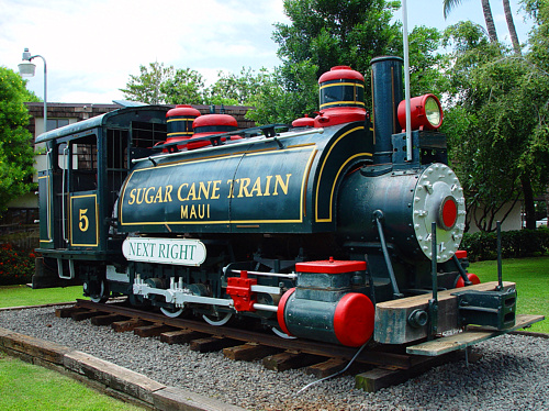 Sugar Cane Train <br> by kudbegud