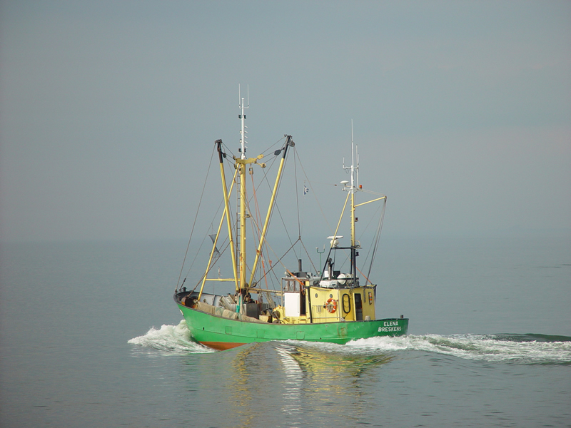 tell mom, I have gone fishing<br>Gearedsoft