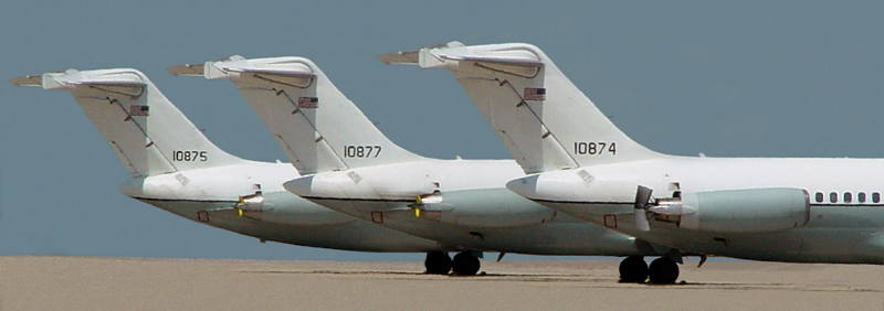 <p align=center> <b> Tails You Win! </b> <br> <font size=1> by Helen Betts </font> </p>