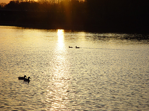 Evening Cruise      by Michael Buckman