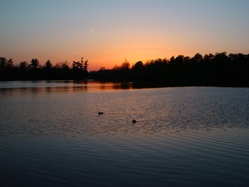 Twilight Overflight          by Michael Buckman