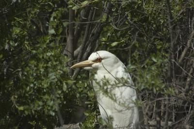 DSC_1414.JPG