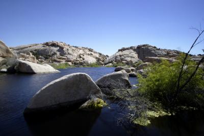 _MG_2645.jpg