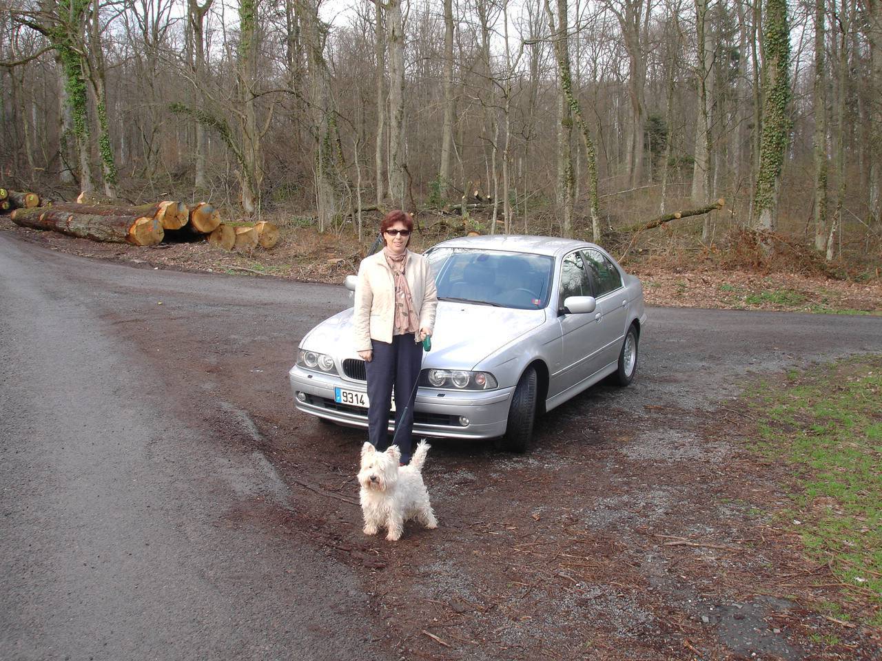 Perdus dans les bois
