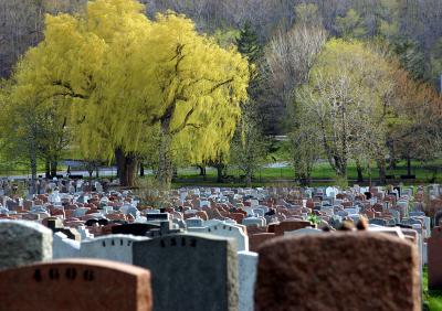 Cte des Neiges Cemetery, Montreal