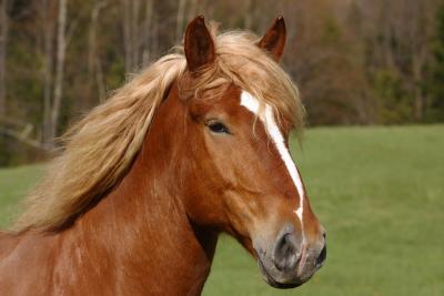 u10/sylvyn/medium/2137451.CRW_0185.jpg