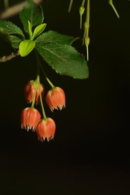 CRW_3487_edited.jpg
