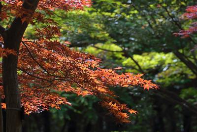 CRW_3522_edited.jpg
