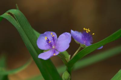 CRW_3654.jpg