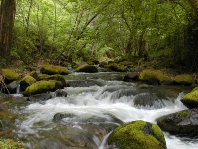 ashland creek