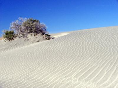 dunes