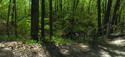 ravine pano