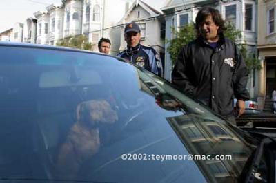 CRW_0329_JFR.jpg