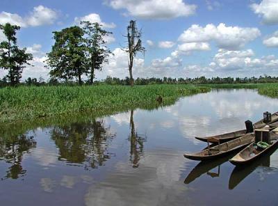 Agusan Marsh