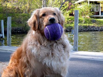 NEW_BALL1.JPG