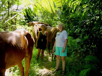 u10/tlmurp84/medium/2238645.Gitane_Rhonda_with_horses.jpg
