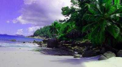 Petite_Anse1.jpg