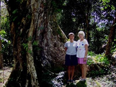 u10/tlmurp84/medium/2238655.Rhonda_and_Gitane_with_Sen_Dragon_tree.jpg