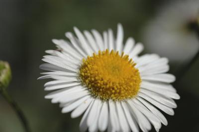 DSC_5909a.jpg