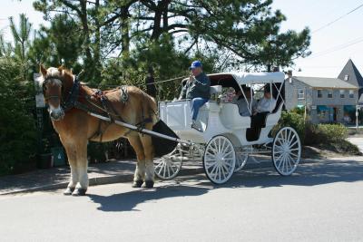 Horse and carriage ride in the village of Kennebunkport.