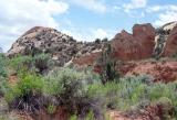 rocks along Desert Voices Trail