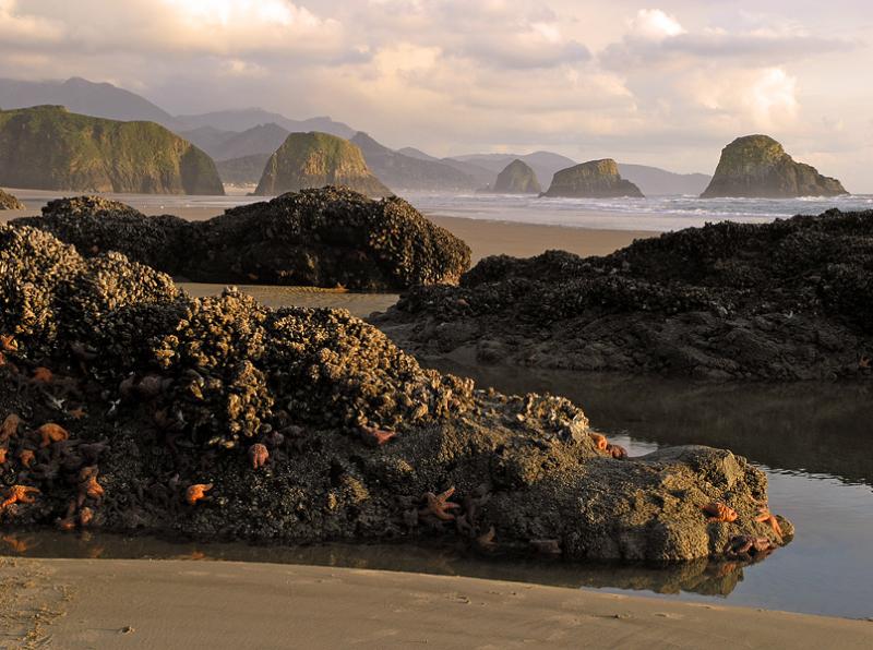 Low Tide at Sunset