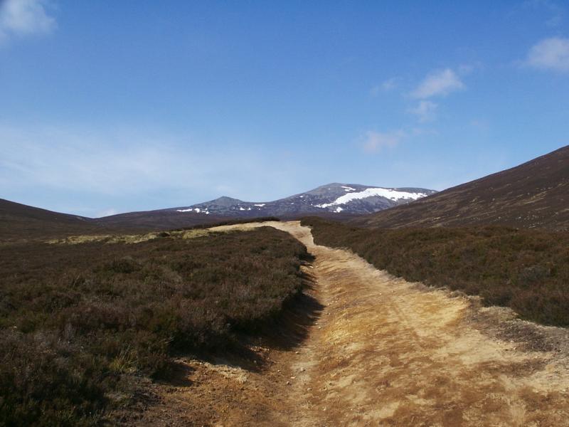 Lochnagar from above Allt -na - giubhsaich