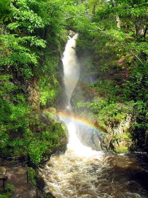 Aira Force