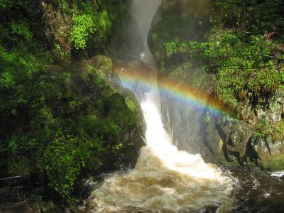 Aira Force