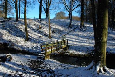 stream valley, Stoneyhurst