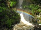 Aira Force