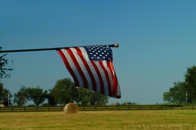 Farmlife American Flag.jpg