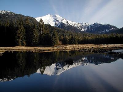 Tide Water Reflection
