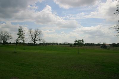 Fields and Pastures of Round Top