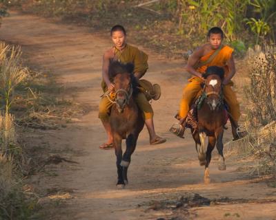 Horse Monk0414-4-after copy.jpg