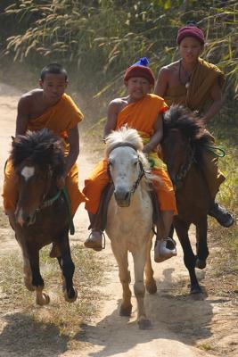 Hourse Monk0153-2.jpg