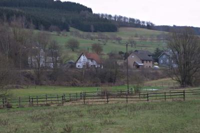 CRW_1768.jpg