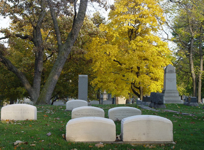 Graceland yellowtree