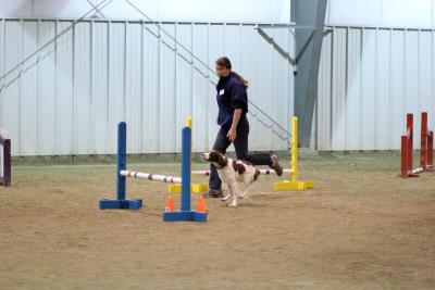 img_1935_std.jpg