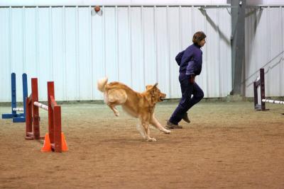 img_1947_std.jpg