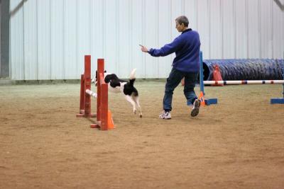 img_1957_std.jpg