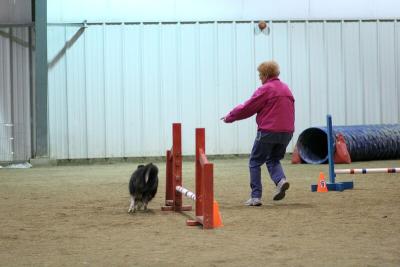 img_1966_std.jpg
