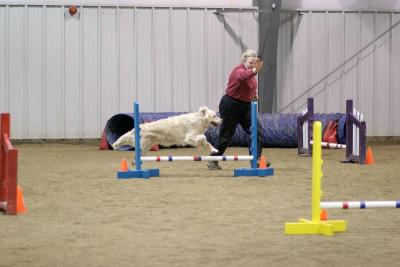 img_1973_std.jpg