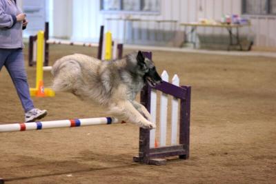 img_1983_std.jpg