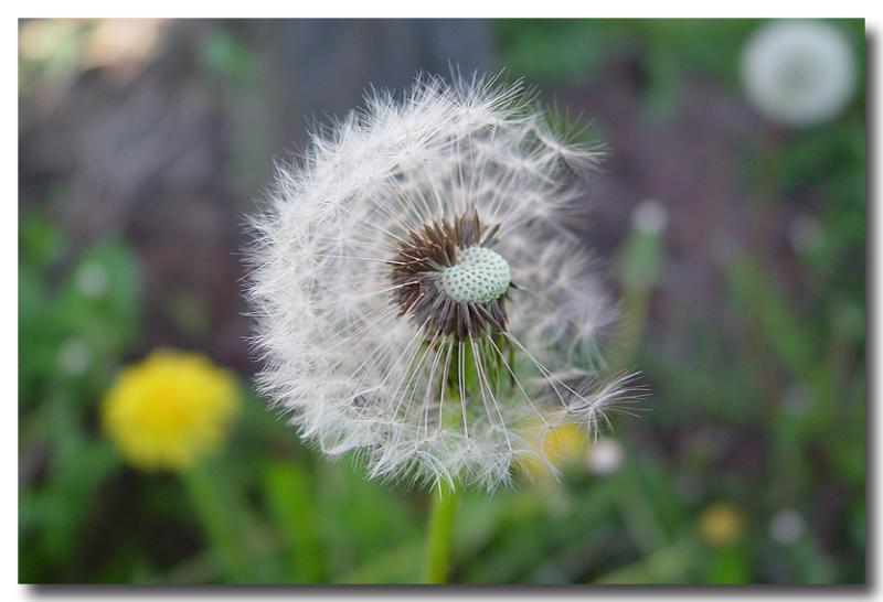 Waiting For The Wind