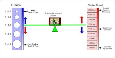 Now, let’s look for a moment at the relationship between aperture and shutter speed. In this diagram, various apertures are listed on the left and shutter speeds on the right.